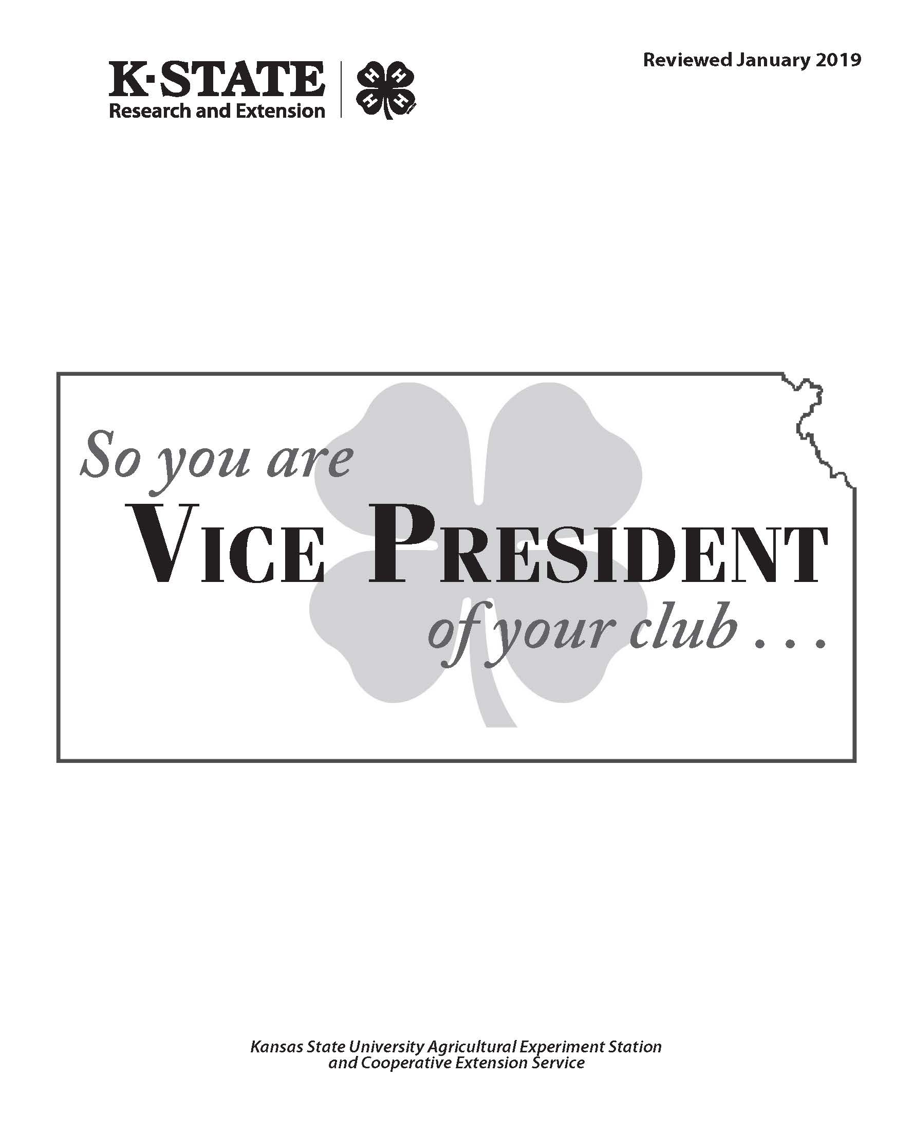 So you are Vice President of your club