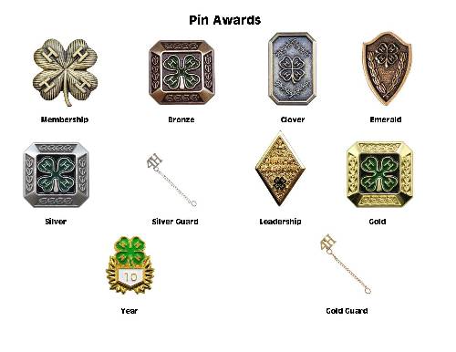 Pin Award Pictures