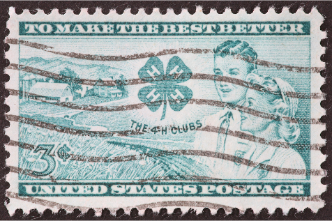 4-H Stamp