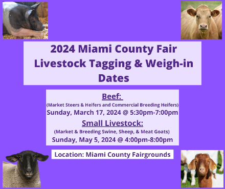Live Stock Tagging Dates - 2024