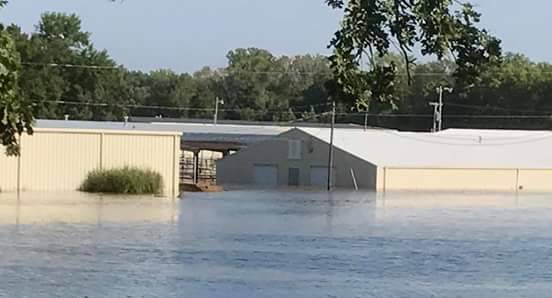 Fair buildings in flood water August 2017