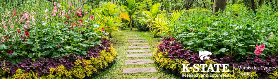 Flowers with a walking path