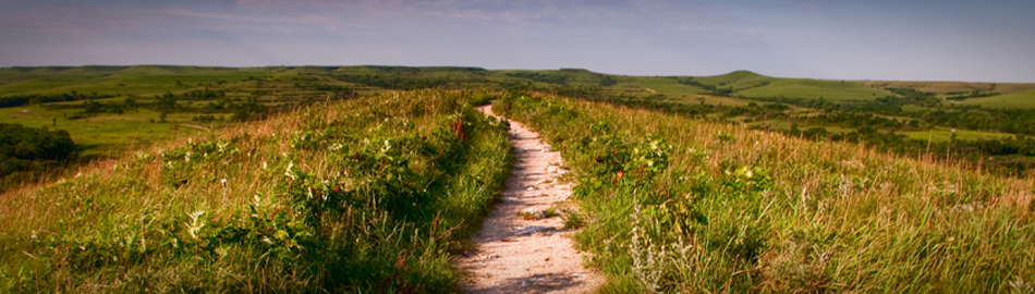 Konza Prairie