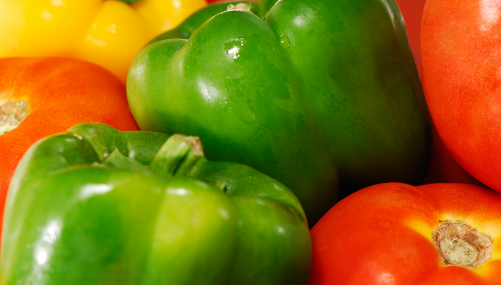 Terrific Tomatoes and Perfect Peppers