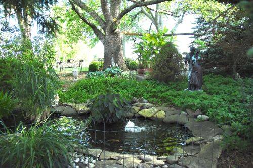 Garden with small pond