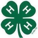 4h-clover